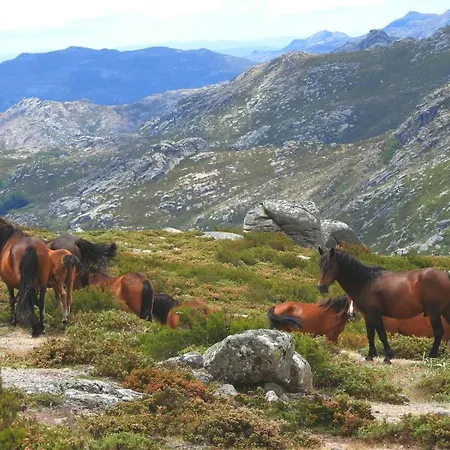 Сasa de vacaciones Casa Miraxurés Con Vistas A La Sierra Del Xurés *