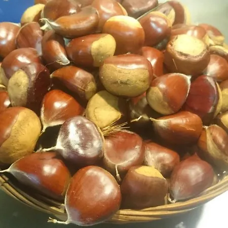 Casa Miraxurés Con Vistas A La Sierra Del Xurés * Ourense