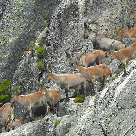 Casa Miraxurés Con Vistas A La Sierra Del Xurés *