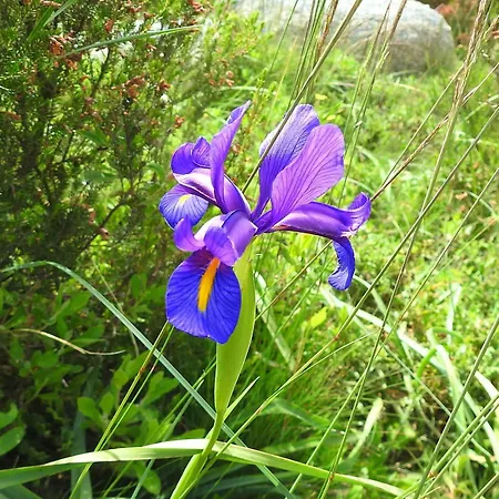 Сasa de vacaciones Casa Miraxurés Con Vistas A La Sierra Del Xurés
