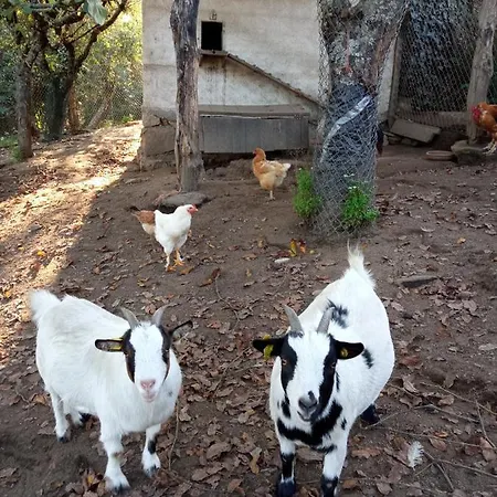 Casa Miraxures Con Vistas A La Sierra Del Xures * Ourense