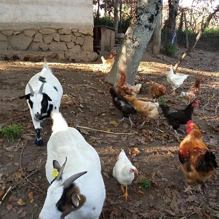 Casa Miraxures Con Vistas A La Sierra Del Xures Holiday home