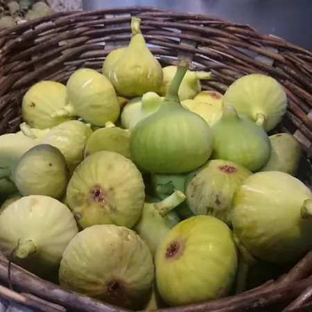 Casa Miraxurés Con Vistas A La Sierra Del Xurés Ourense