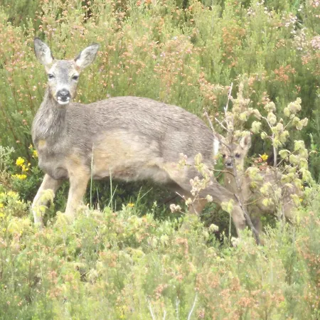 Casa Miraxurés Con Vistas A La Sierra Del Xurés Ourense