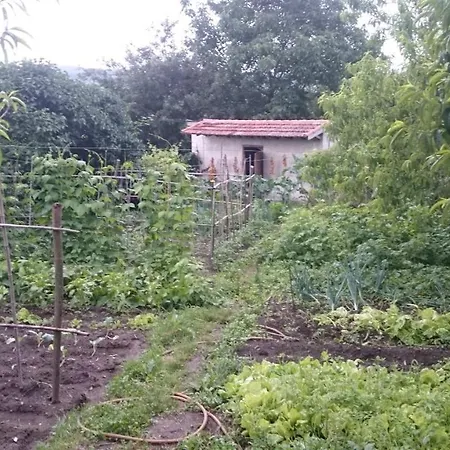 Сasa de vacaciones Casa Miraxurés Con Vistas A La Sierra Del Xurés Ourense