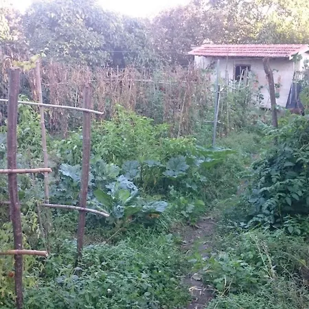 Casa Miraxurés Con Vistas A La Sierra Del Xurés Сasa de vacaciones